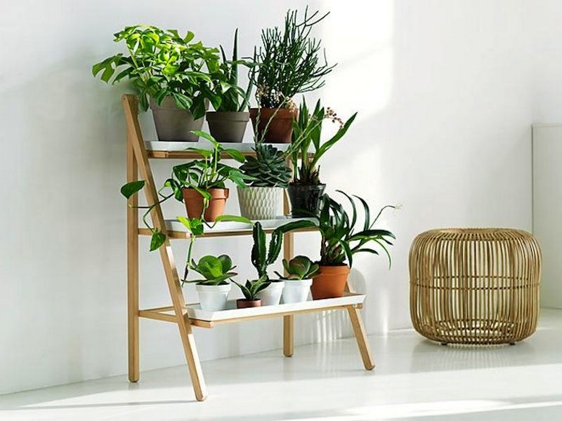 indoor-hanging-planters-australia